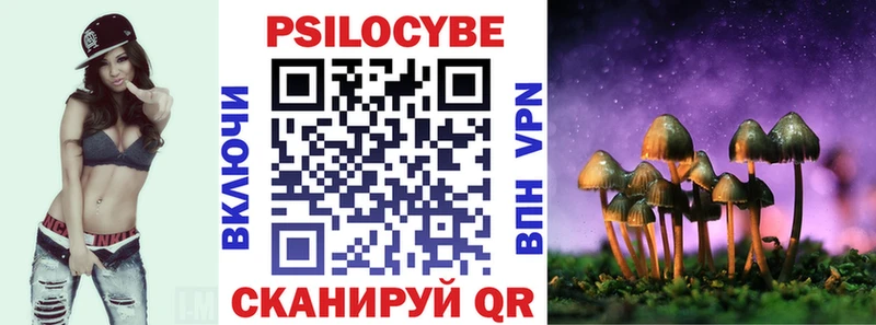 Псилоцибиновые грибы Psilocybe  ОМГ ОМГ ТОР  Ветлуга 